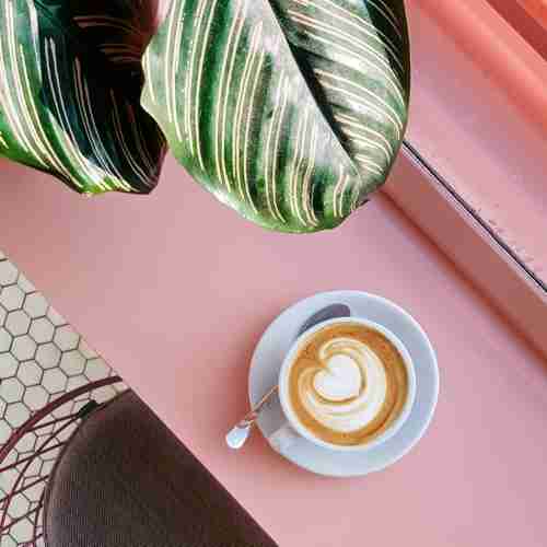 Cafés zum Arbeiten & Lernen Bild