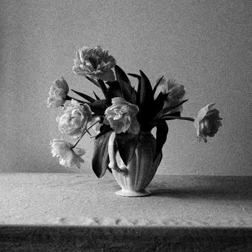 Featured Bilder
