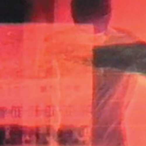 copyright: Werner Kaligofsky