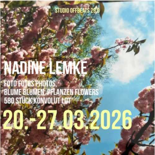 copyright: Sujet Studio Offbeats