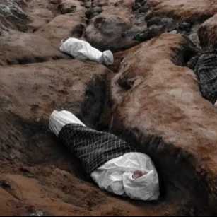 copyright: Shaken Grounds