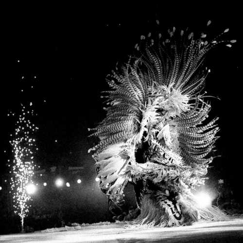 copyright: Gabriela Carneiro da Cunha