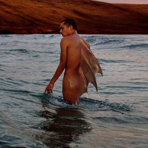 copyright:  David Uzochukwu