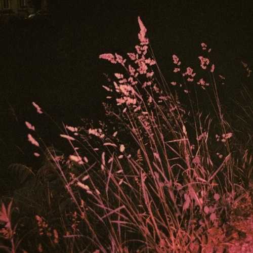 copyright: AgustinaBelenAgueero