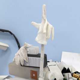 copyright: annalerchbaumer