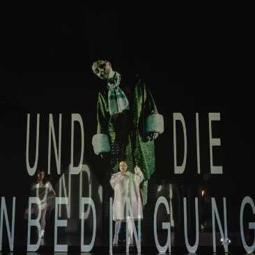 copyright: LuizaPuiu