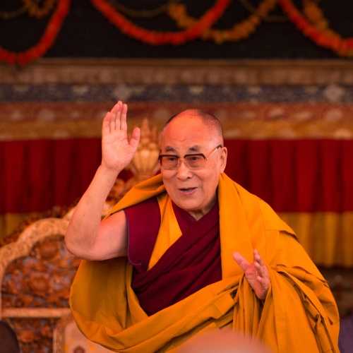 copyright: PascalViolo