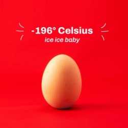 copyright: TheateramLend