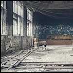 copyright: MichaelaVondruska