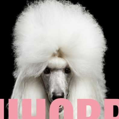 copyright: TheateramWerk