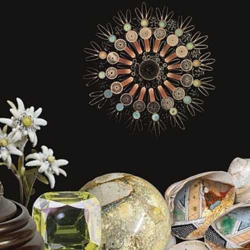 copyright: Naturkundemuseumgraz/egonlaupe