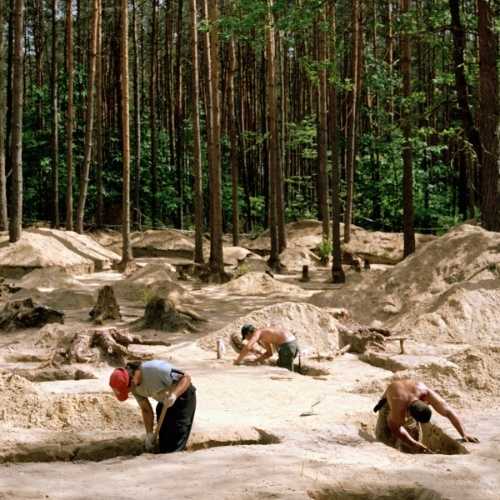 copyright: Rogercremers