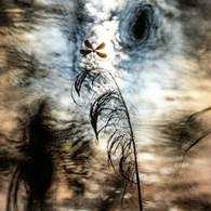 copyright: Rupertkogler
