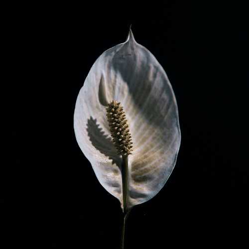 copyright: Tamara Shchypchynska, unsplash