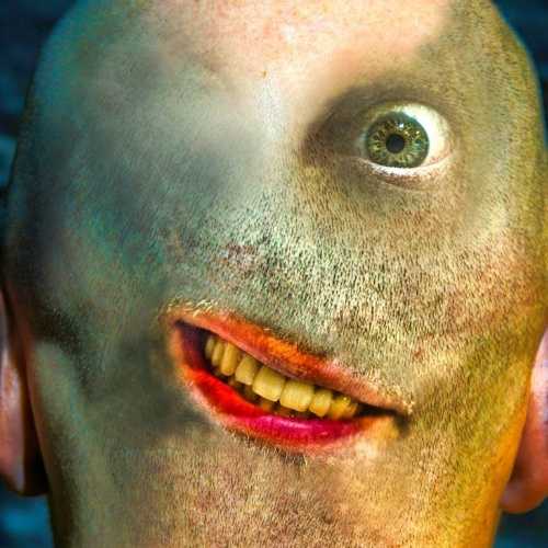 copyright: BenjaminBlaikner